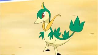 Snivy, Servine, and Serperior Pokédex Entries..wmv