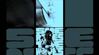 The Silver Panda - She Rides The Waves (Pale Saints cover  - excerpt 03) #music #shoegaze
