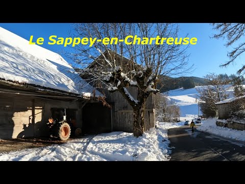 Spike and I go to the closest (and least expensive) skiing near Grenoble: Le Sappey-en-Chartreuse.