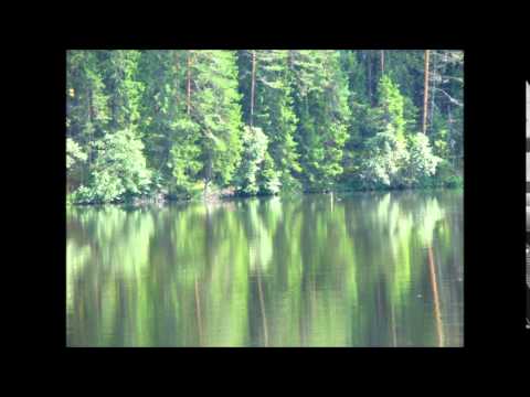 Esmakordselt - ivo Linna