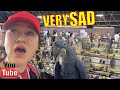 THIS SCENE BREAKS MY HEART AT THE BIRDMART! Exotic Bird Mart & Expo