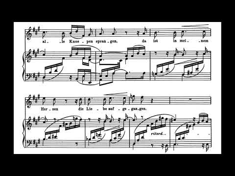 Im wunderschönen monat mai (R. Schumann) Score Animation