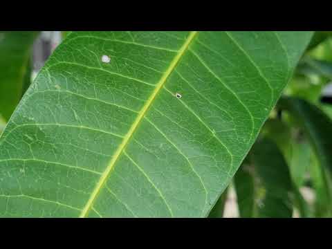 samsung galaxy s21+ super steady in lastest update patch August 2nd