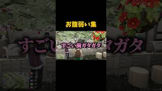 お腹弱い集 #gtarp #グラセフ #ゲーム実況