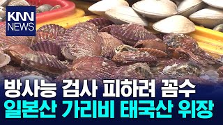태국산인 줄 알고 먹은 가리비.. 알고 보니 일본산? / KNN