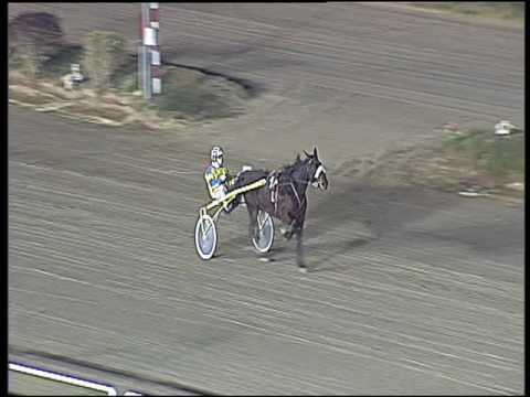 Trotto 23/12/2016 - prova di riqualifica