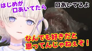マービンと再会するばんちょー【ホロライブ切り抜き/轟はじめ】