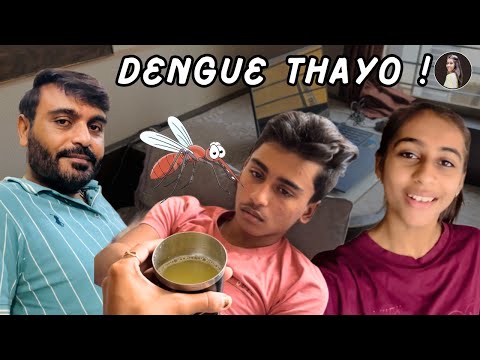 Bhai ne Dengue Thay Gayo 😮🤒Bachav Mate Shu Karay ? પપૈયા ના પાંદ નો રસ || Vlog 60 || Dhrutika Vlogs