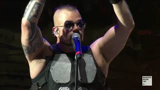 Sabaton - Lejonet Fran Norden (Wacken Open Air 2019)