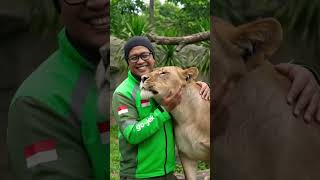 Download lagu Chit-chatting with a lion #singalongsongs #singalong mp3