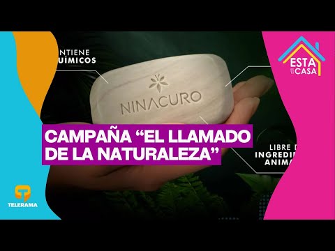 Campaña El llamada de la naturaleza: Las luciérnagas están desapareciendo y pocos los saben