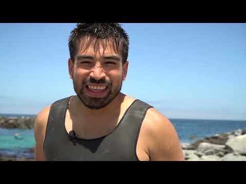 Capítulo 4: La reparación pendiente - Chañaral entre el abandono y la resiliencia ambiental