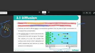 Diffusion