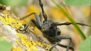 THEO PARRISH - Heal Yourself & Move.