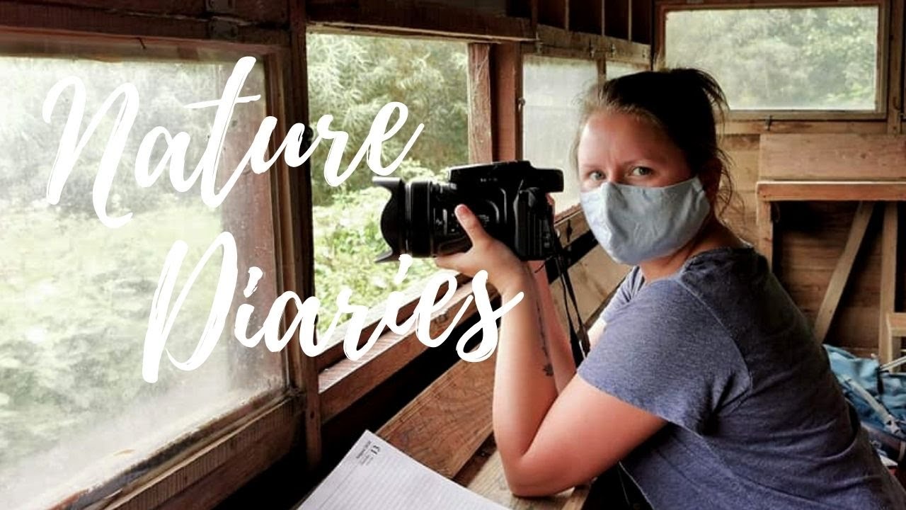 Langford Lake: Canada geese, cormorants & coots! - Nature Diaries