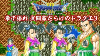 DQ3 力をパワーに！ 武闘家だらけのドラクエ3 #2