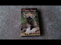 Itty Bitty Kiddy Wildlife The Puppy Dogs VHS Review