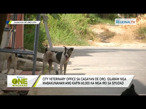 One Mindanao: Paglikay sa rabies