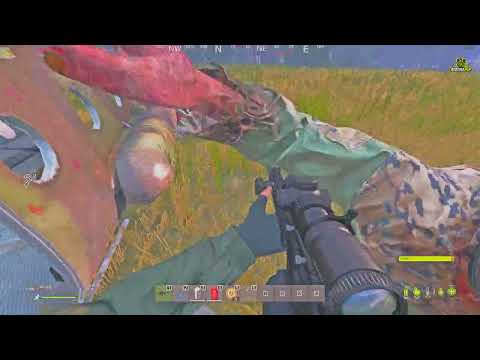 DayZ 2024 10 04   19 04 49 03 DVR   Trim