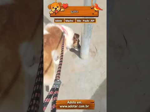 Vídeo de spike