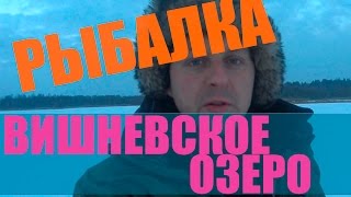 Рыбалка на озере вишневское выборгский район
