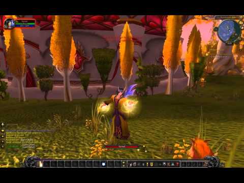 WoW guide-Blood elf priest walkthrough