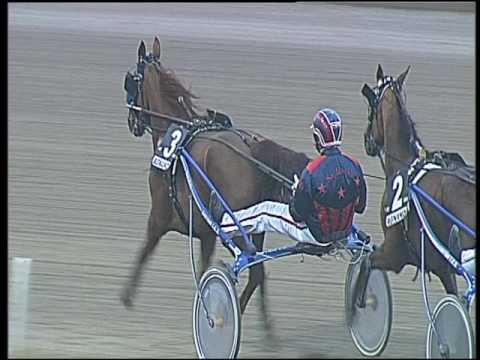 Trotto 19/03/2017 - 6ª corsa