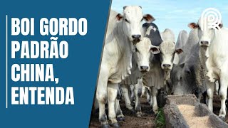 Miniatura do vídeo