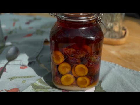 ✨ Homemade Plum Brandy in the works! By @ourgardenwonders