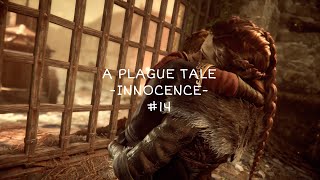 【PLAGUE TALE-INNOCENCE- プレイグテイル-イノセンス-】 初見実況#14