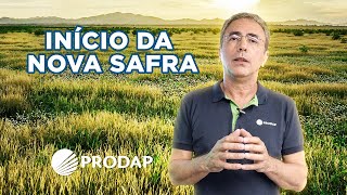 Miniatura do vídeo