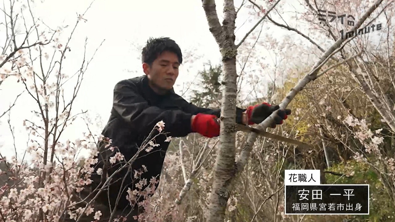 安田一平／花職人