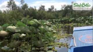 Tra Su Bird Sanctuary at An Giang Province, Vietnam | Sinhbalo Adventure