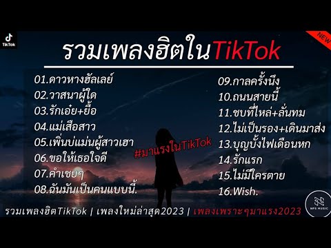 รวมเพลงฮิตในTikTok [  ดาวหางฮัลเลย์ + วาสนาผู้ใด + รักเอ๋ย ] เพลงใหม่ล่าสุด2023