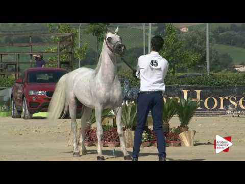 Montefalco 2016 - Classe 10