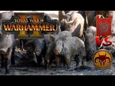 Skaven vs Beastmen | WILD HOGS P2 - Total War Warhammer 2