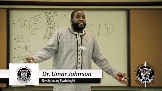 PSYCHO ACADEMIC HOLOCAUST