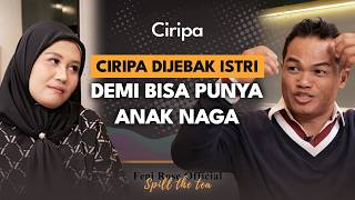 Download lagu From Hate to Love, Ciripa's Wife Softened Up Because of This! mp3