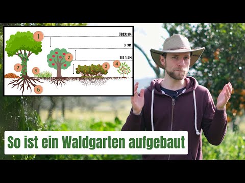 Die 7 Schichten eines Waldgartens (Food Forest) - So ist er aufgebaut 🌳