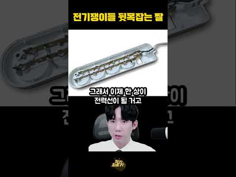 전기쟁이들 뒷목잡는 짤 | 멀티탭 원리