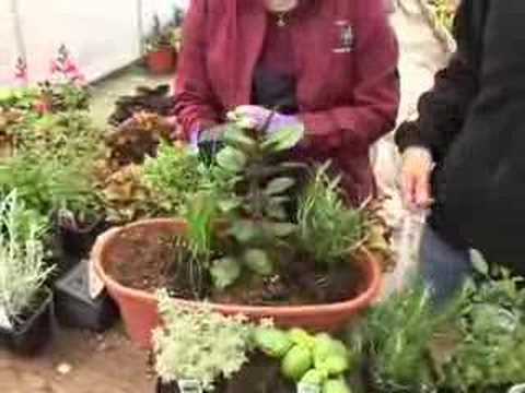 Herb Pots - YouTube