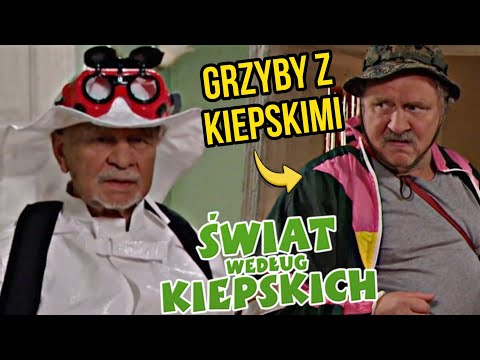 🍄 GRZYB - SZATAN - ŚWIAT WEDŁUG KIEPSKICH | GRZYBOBRANIE PRZERADZA SIĘ W LIBACJĘ W LESIE