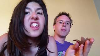 EATING MONKEY BUTTHOLE!