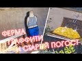 Аномальная зона. Заброшенная ферма в урочище Лихачево, граффити и старое кладбище ...