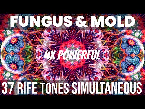 Fungus & Mold Relief : Full 37 Rife Frequencies Simultaneous : 4X Powerful