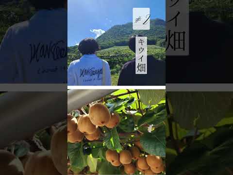 第4回　四国学院大学×善通寺市「地元の大学生と歩く、サスティナブルな善通寺市」 #shorts