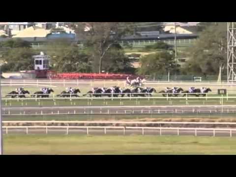 Watch Sonntag (Teofilo) win the G1 Queensland Derby at Eagle Farm, Australia, 2014