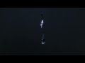 Odeal Showbiz No Drums Slowed Reverb