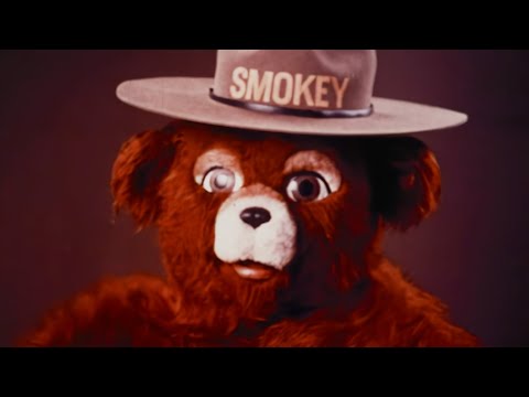 Still frame from Smokey Bear ("Only You Can Prevent Forest Fires") (U.S. Forest Service / Ad Council, 1944)