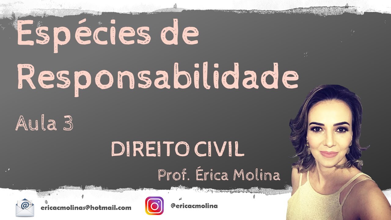 AULA 3 - ESPÉCIES DE RESPONSABILIDADE